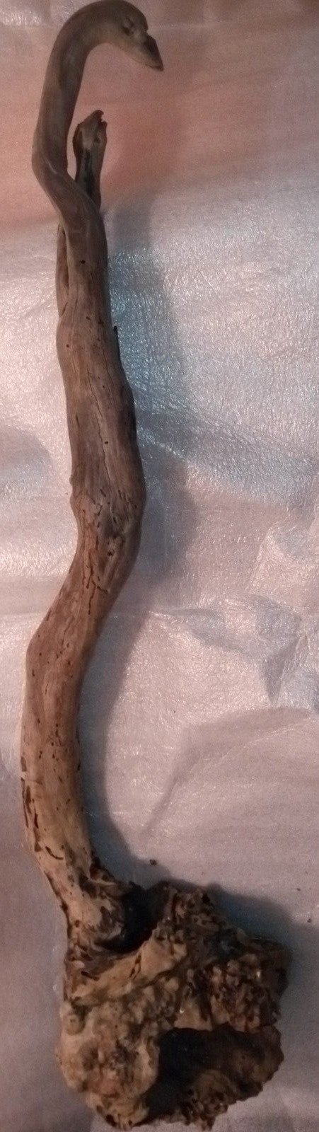 Florida waters natural driftwood hand picked
