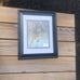 Autograph Terry Bradshaw frame photo