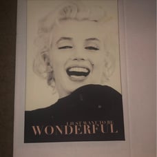 marilyn monroe wall art 5 piece set