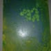 (Set) Acrylic Pour Custom Wooden Coasters and Wood Painting With Felt on Back
