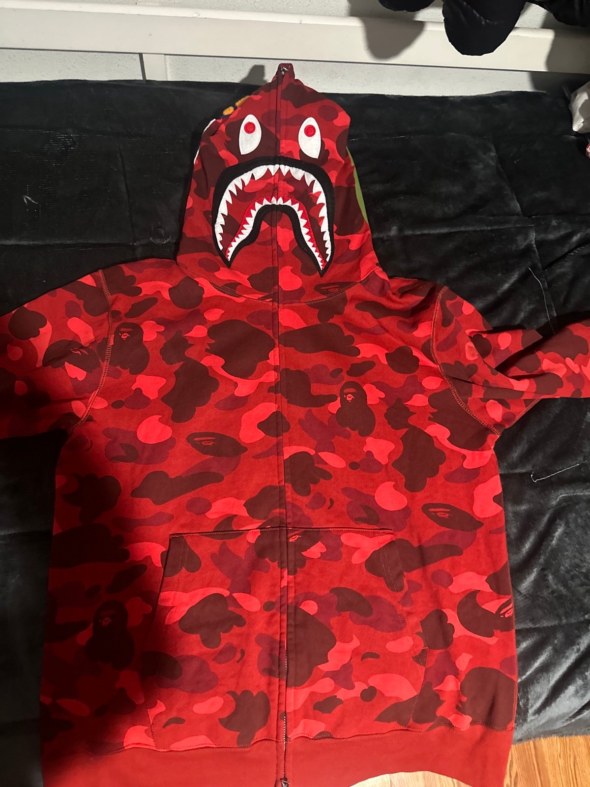 Shark