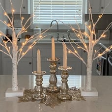 Christmas Decorations, 2FT Birch Tree with LED Lights, Warm White Light up