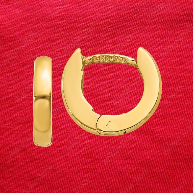 14k Polished Round Hinged Hoop Earrings