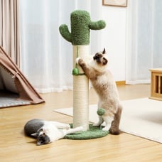 Cactus Cat Tree Cat Scratcher with Sisal Scratching Post and Interactive