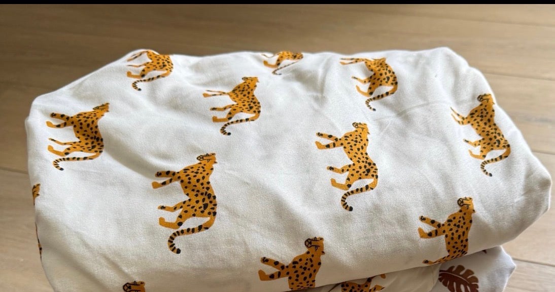Pillowfort Cheetah Twin Set