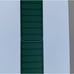 Apple Leather Link for Apple Watch 45mm - Sequoia Green