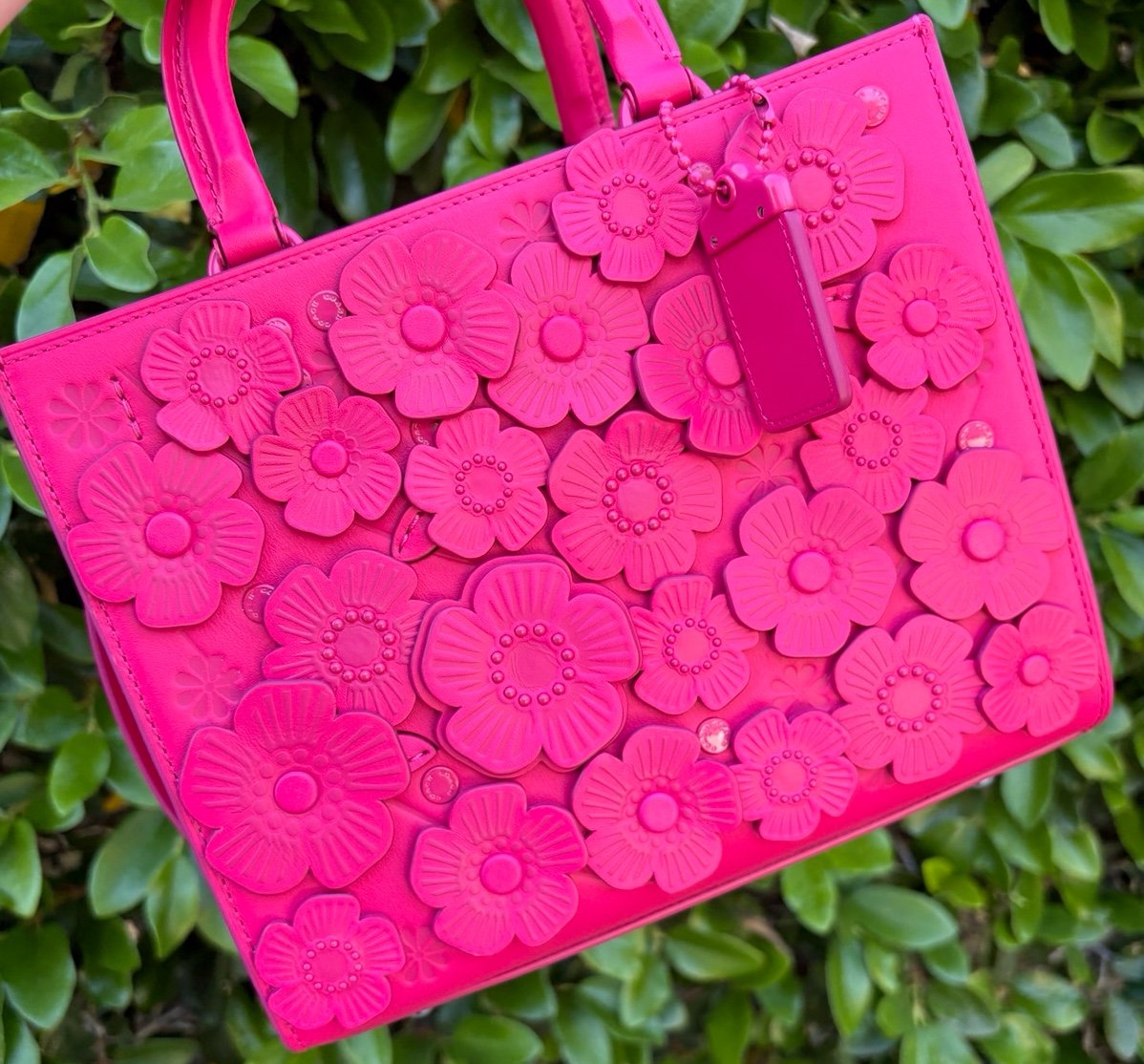 COACH Tea Rose Rogue Bag 25 in DragonFruit