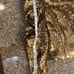 NWT Alice + Olivia Brenna Gold Sequin Puff-Sleeve Crop Top Size 8
