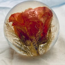 Vintage Haford Grange Glass Red Rose Paperweight 1996