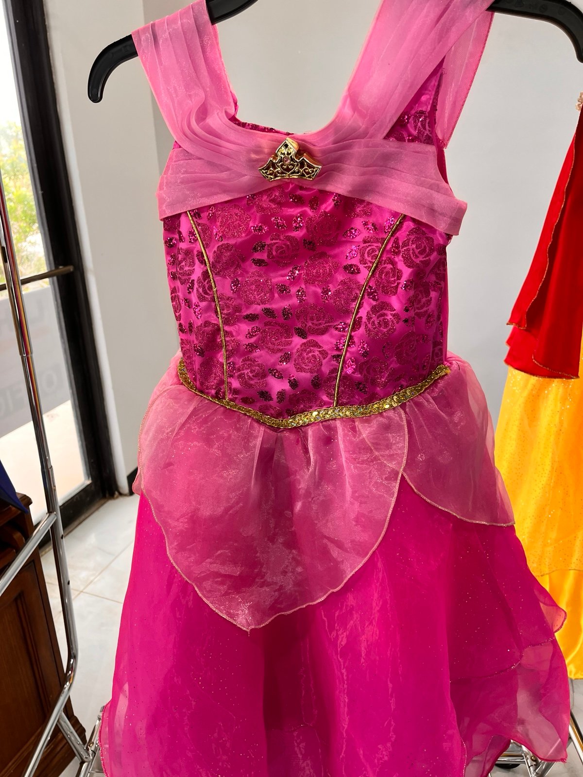 Disney princess Aurora sleeping beauty dress