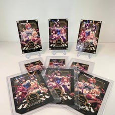 The Shy Girl Falls in Love Only Shop 3 Goods Set