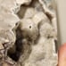 Volcano agate egg druzzy quartz