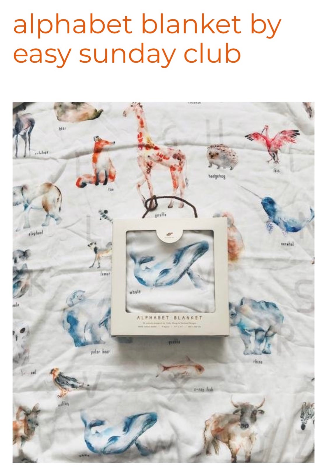 Easy Sunday Club toddler blanket