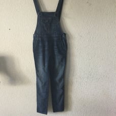 Free People overalls