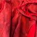 Women’s Moulinette Soeurs Anthropologie Rubied Red Lace Fit & Flare Dress Sz 12