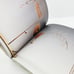 Han Meilin Chinese Rock Art Collection Book Softcover Painting Sculpture Works