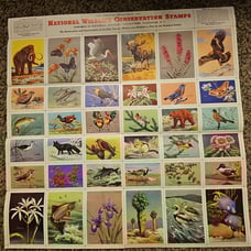 Lot of conservation Wildlife stamps