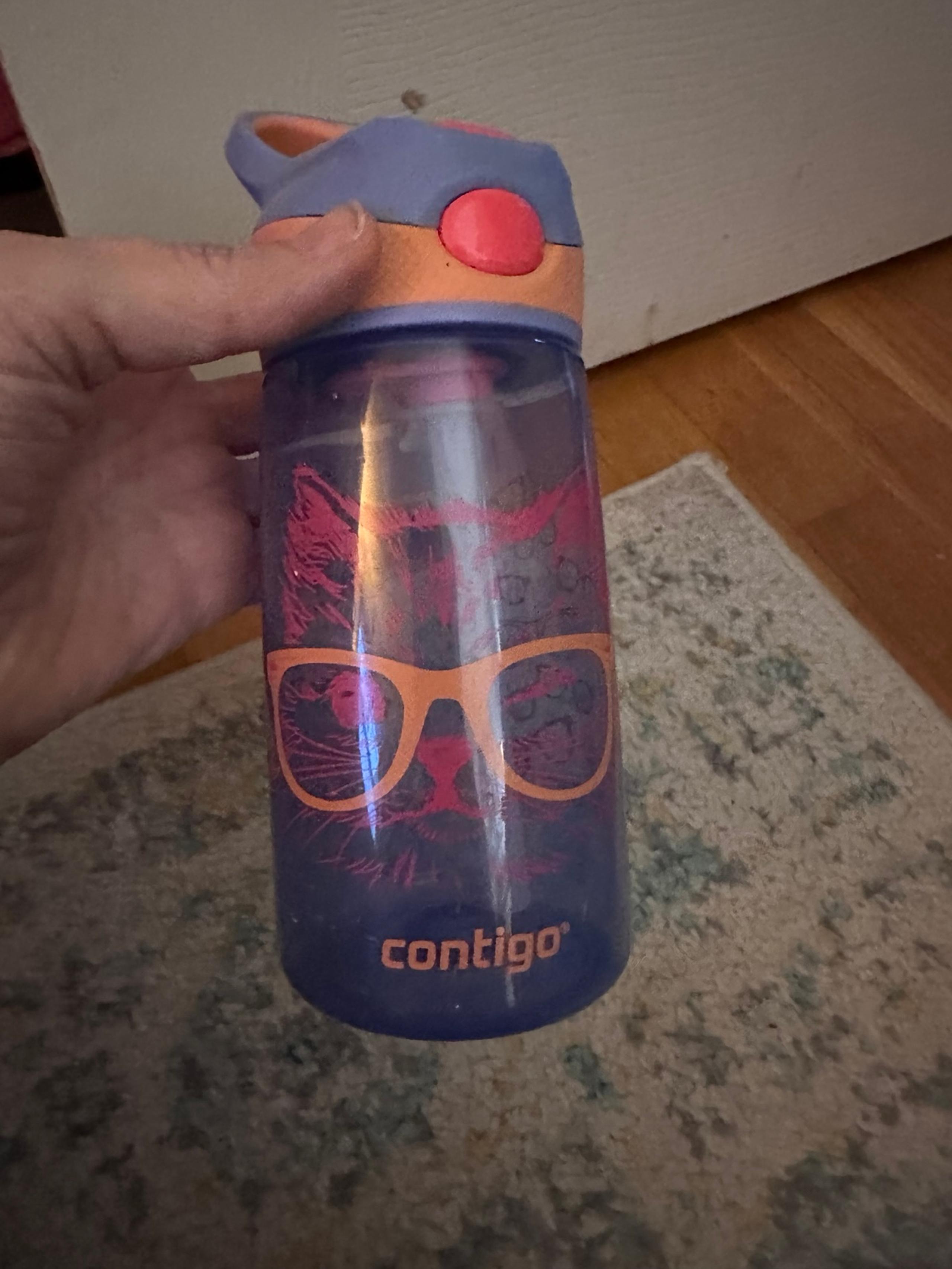 Contigo cat water bottle
