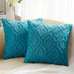 Christmas Decorative Throw Pillow Covers 20x20 Set of 2, Soft Plush