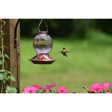 Hummingbird Feeder, 18016P Glass Hummingbird Feeder for Outdoors - Lavender