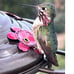 Hummingbird Feeder, 18016P Glass Hummingbird Feeder for Outdoors - Lavender