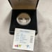 .925 Fine Silver Coin Brilliant EBAY collectable pure Ebay Live Orlando 2003