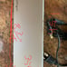 Startech docking station thunderbolt