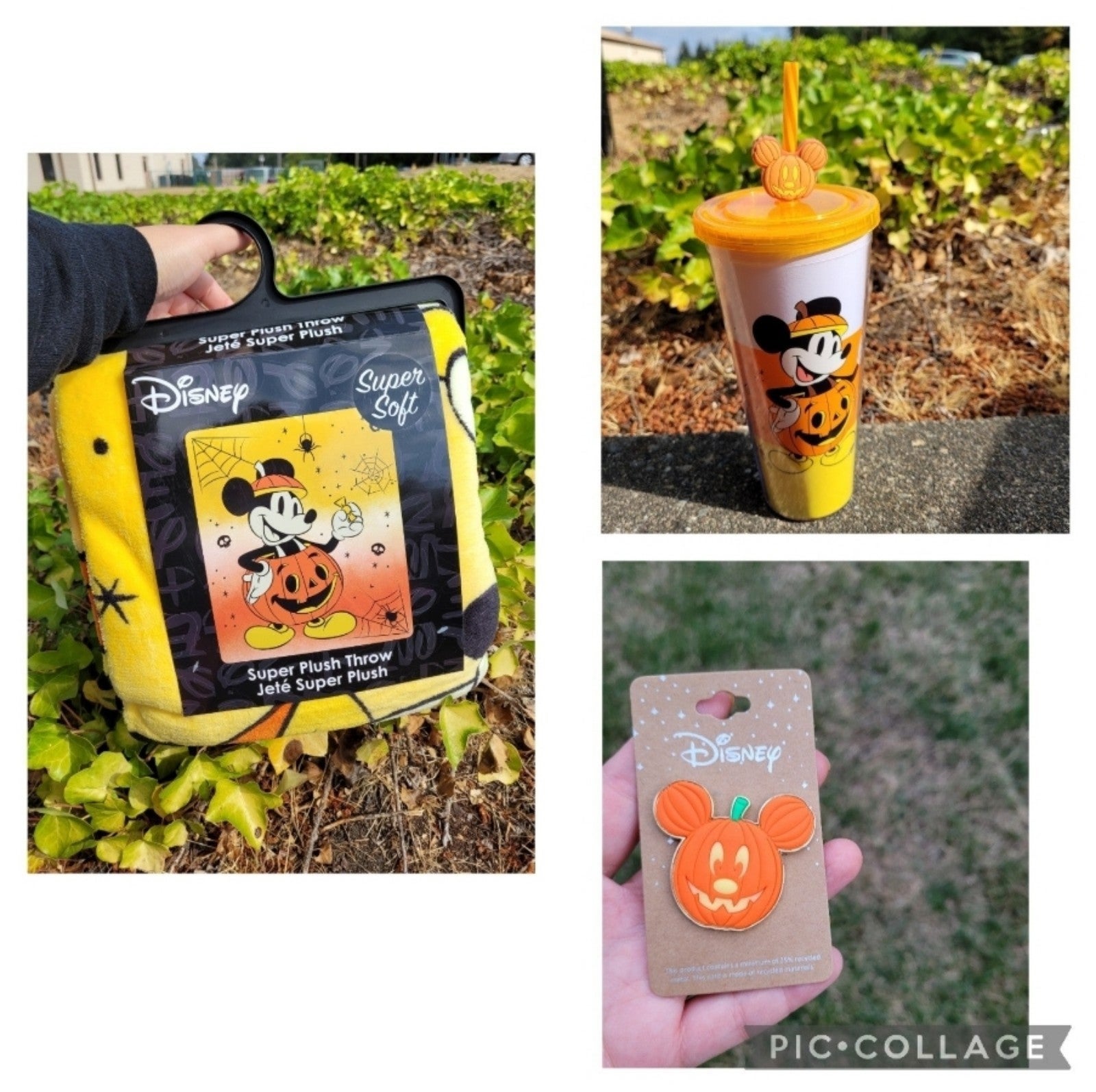 Mickey Mouse Pumpkin Throw Blanket Tumbler Pin Set
