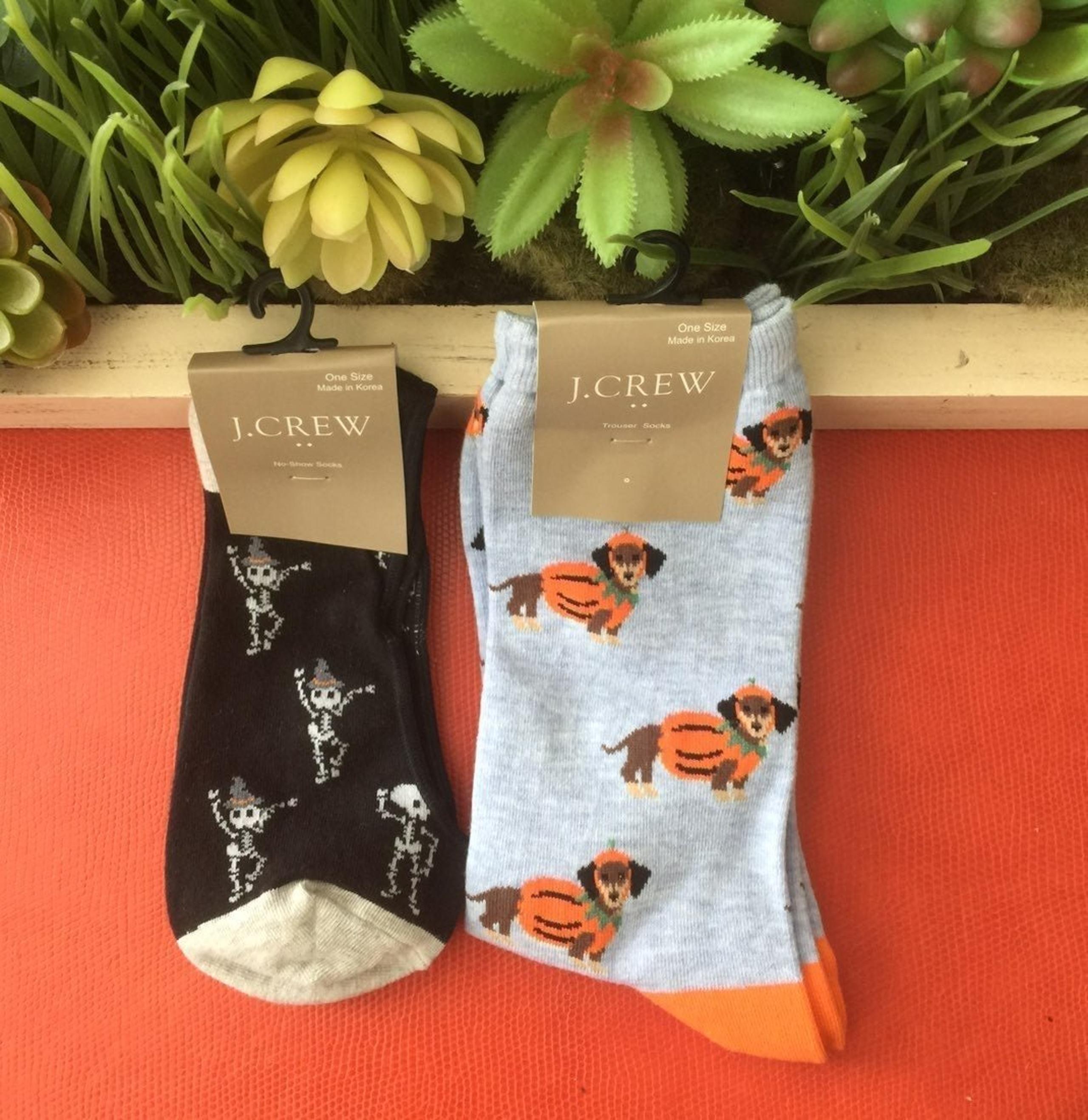 J Crew ~ Halloween socks ~ skeleton & pumpkin dachshund dog