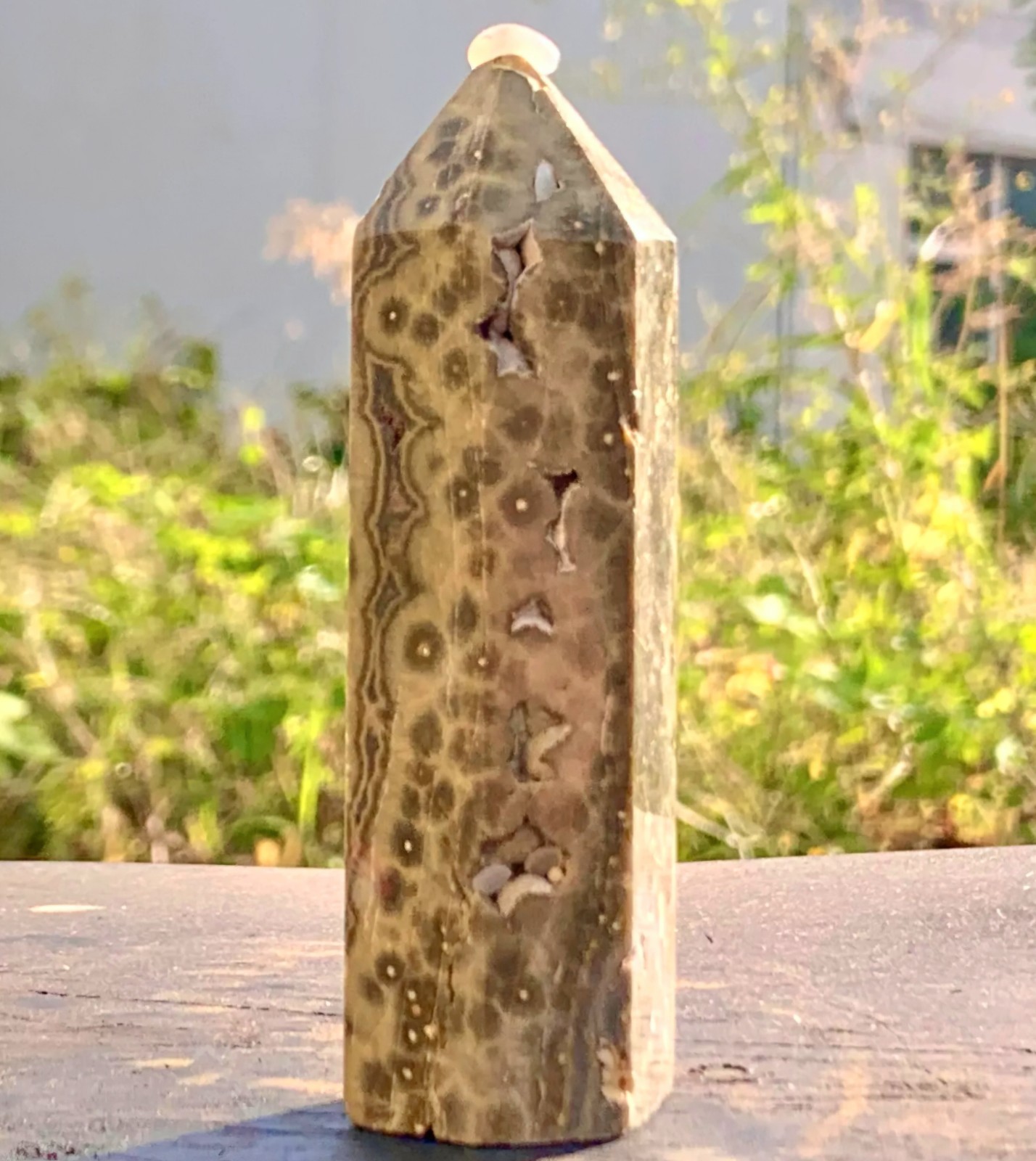 4.3oz (123g) Ocean Jasper Natural Freeform Stone Polished Crystal Reiki Healing