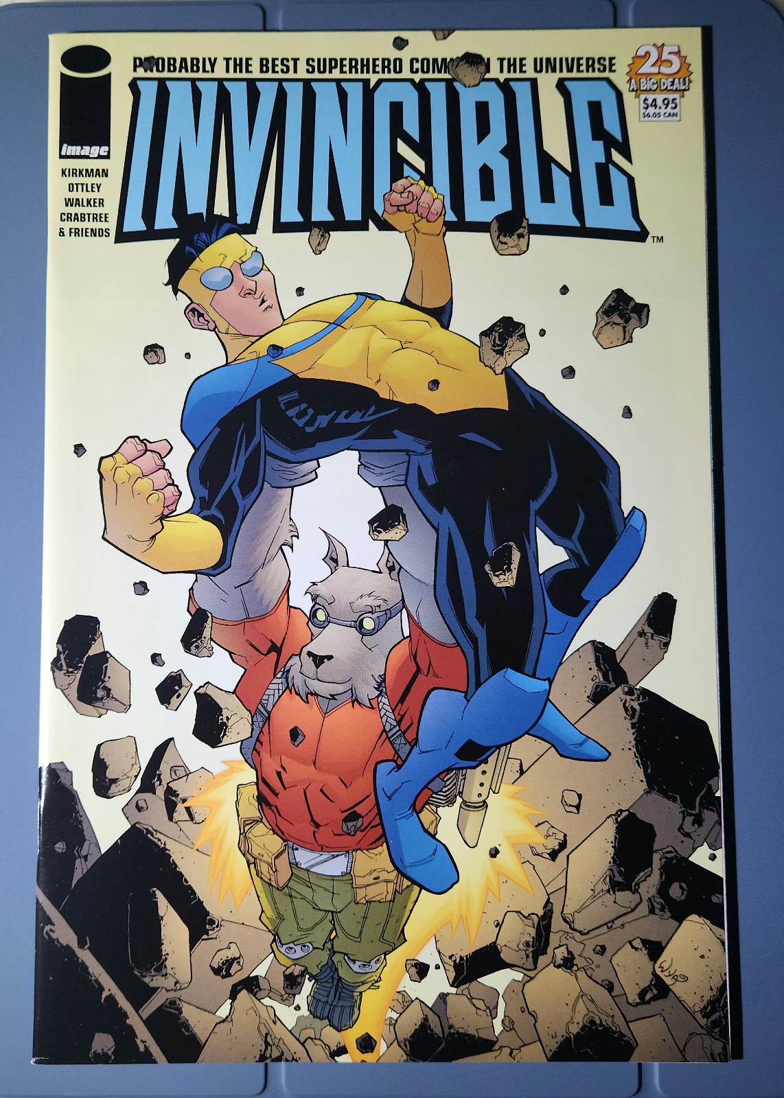 Invincible 25 NM (9.2)
