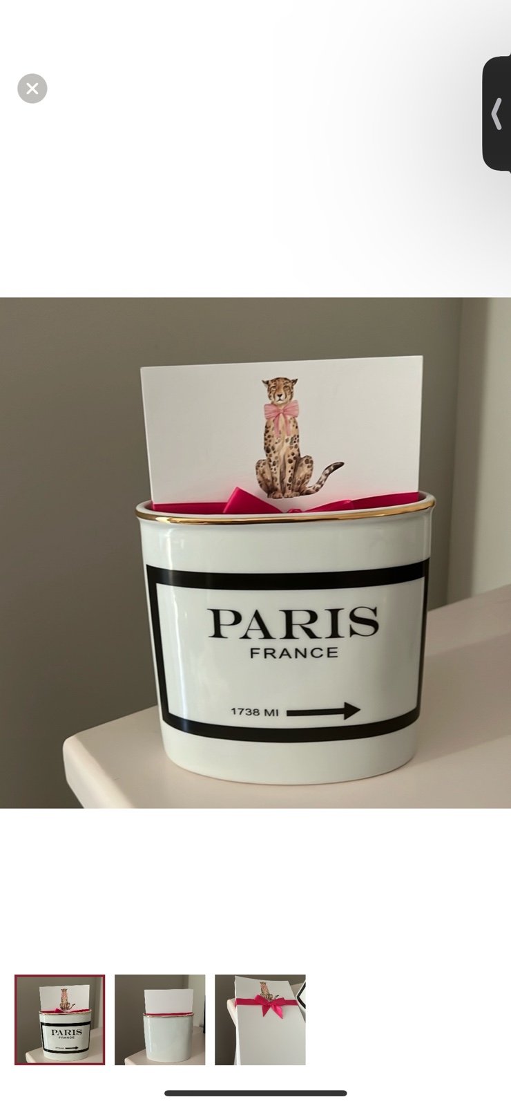 NWOT Leopard stationary with Paris vase