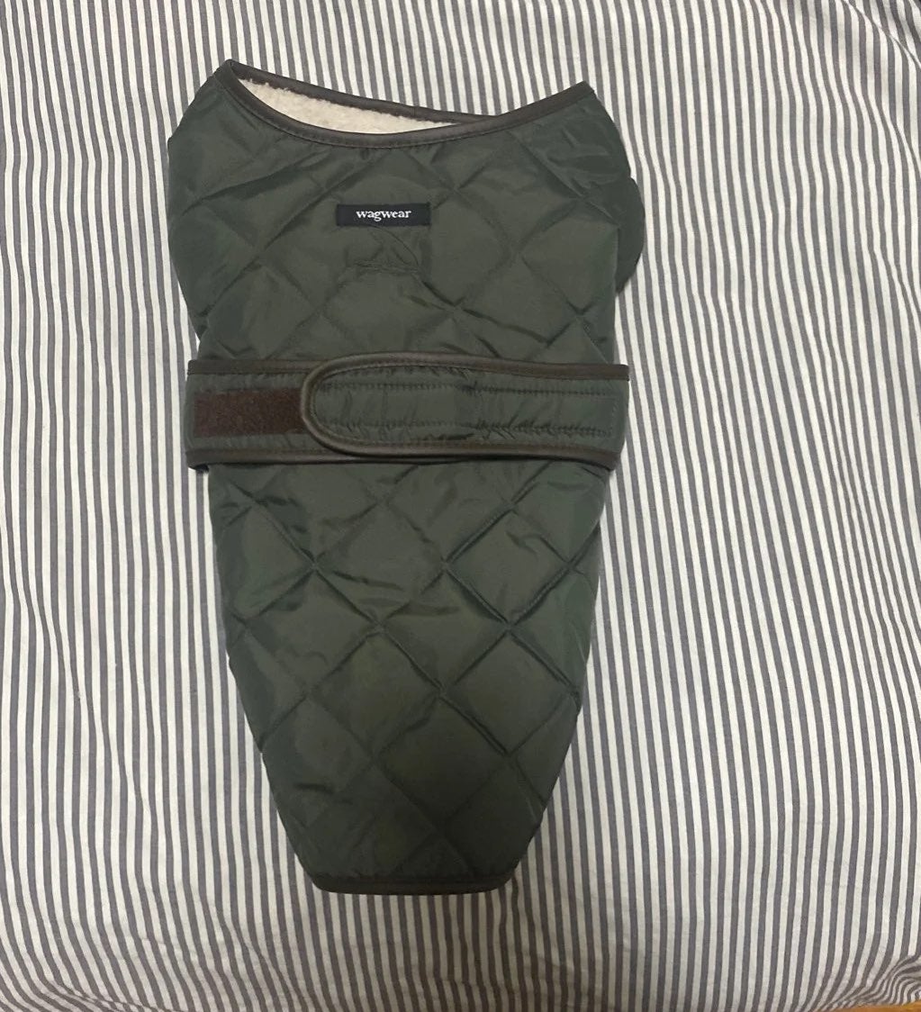 Wagwear quilted jacket