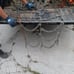 Semi tire chains 22.5 an 19.5 brand new