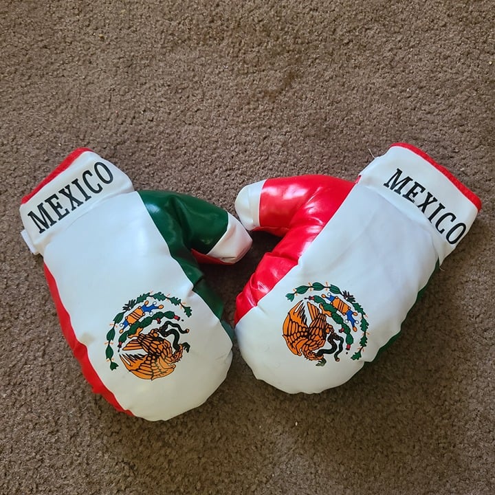 Mexican National Boxing Gloves - Boxeo Souvenir