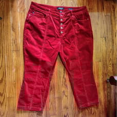 Judy Blue Corduroy Pants Ankle Straight Rust Women Size 22W Button Fly Pockets