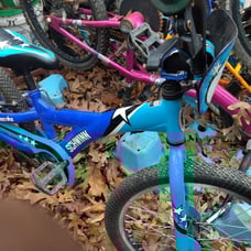 Schwinn bike