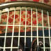 Tennis racquets