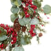 20 Inch Christmas Wreath for Front Door Artificial Winter Wreath with Eucalyptus