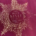 Vintage Holy Bible from The Vatican Library