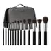 LARUCE Make up Brush Set New