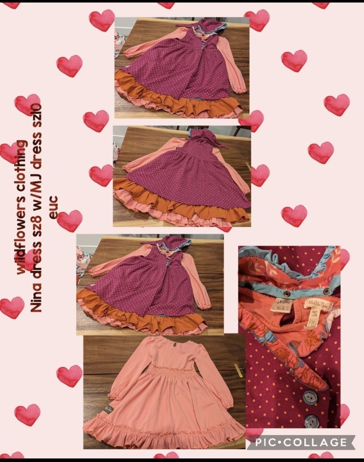Wildflowers Dress hooded jacket plus dress