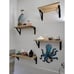 Floating Shelves, Rustic Wood Shelves, 4 Sets of Wall Mounted Shelf for Bathroom