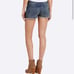 Current Elliott The Boyfriend Short