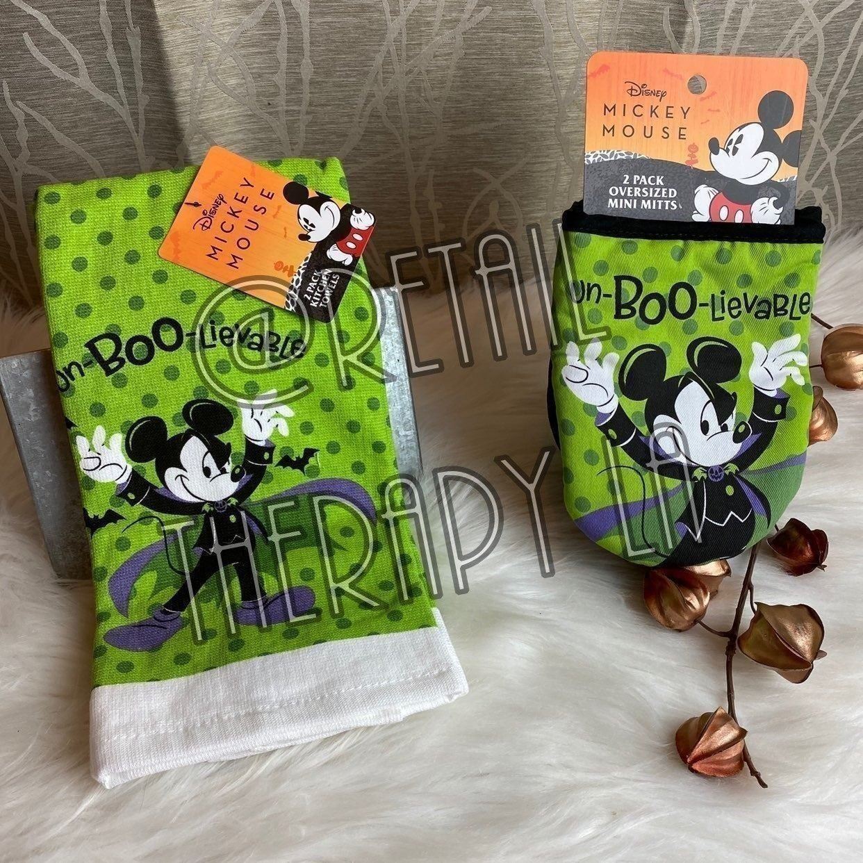 DISNEY'S DISNEYLAND MICKEY MOUSE SET