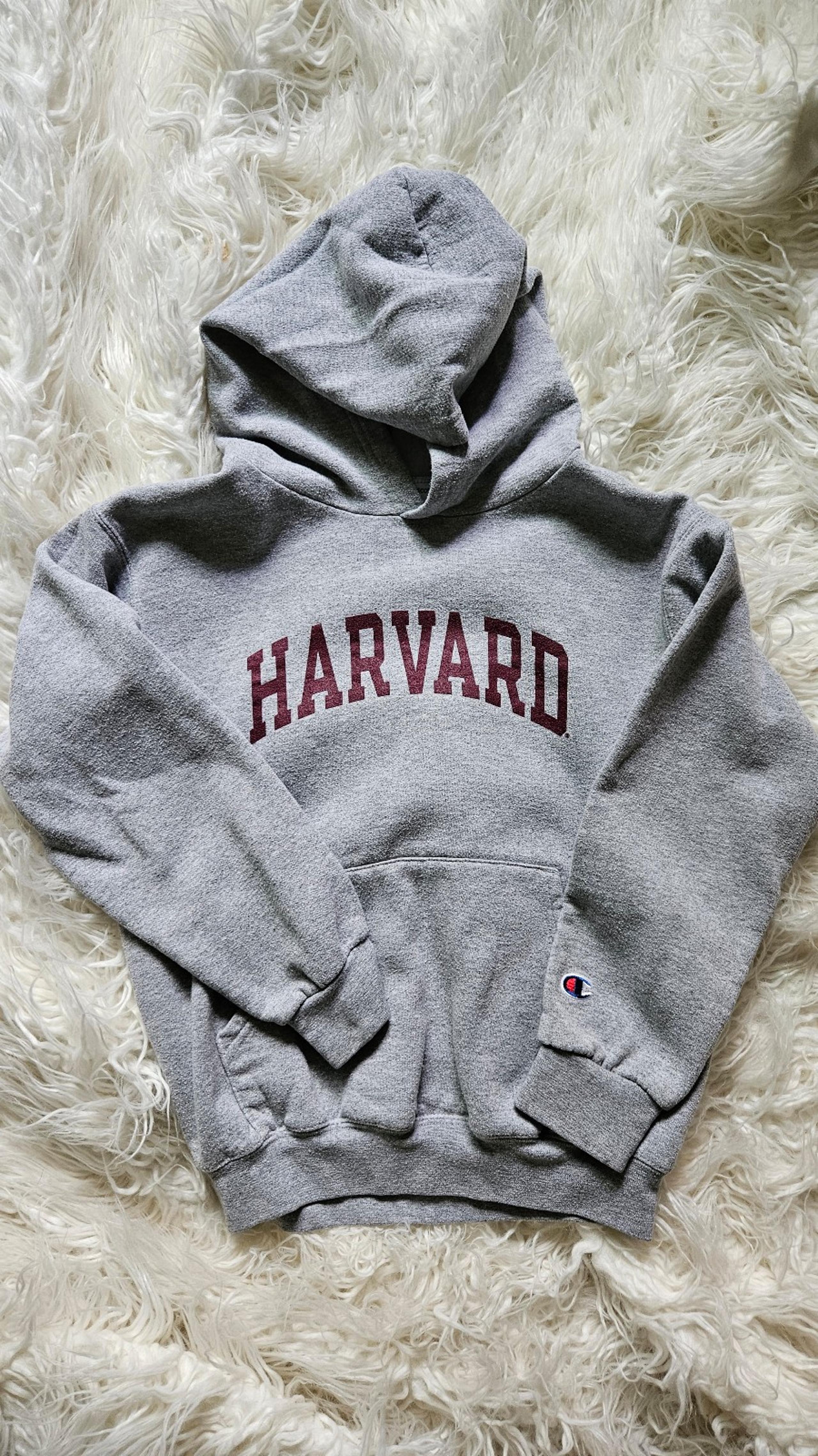 Grey Harvard University Champion Youth Hoodie Sz M
