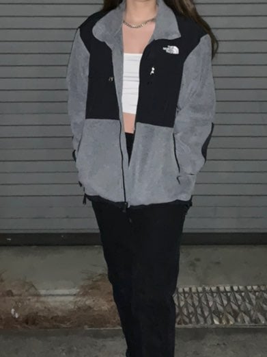 north face denali
