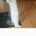 RE/DONE Natural Sonora 90's High-rise Loose Fit Jean