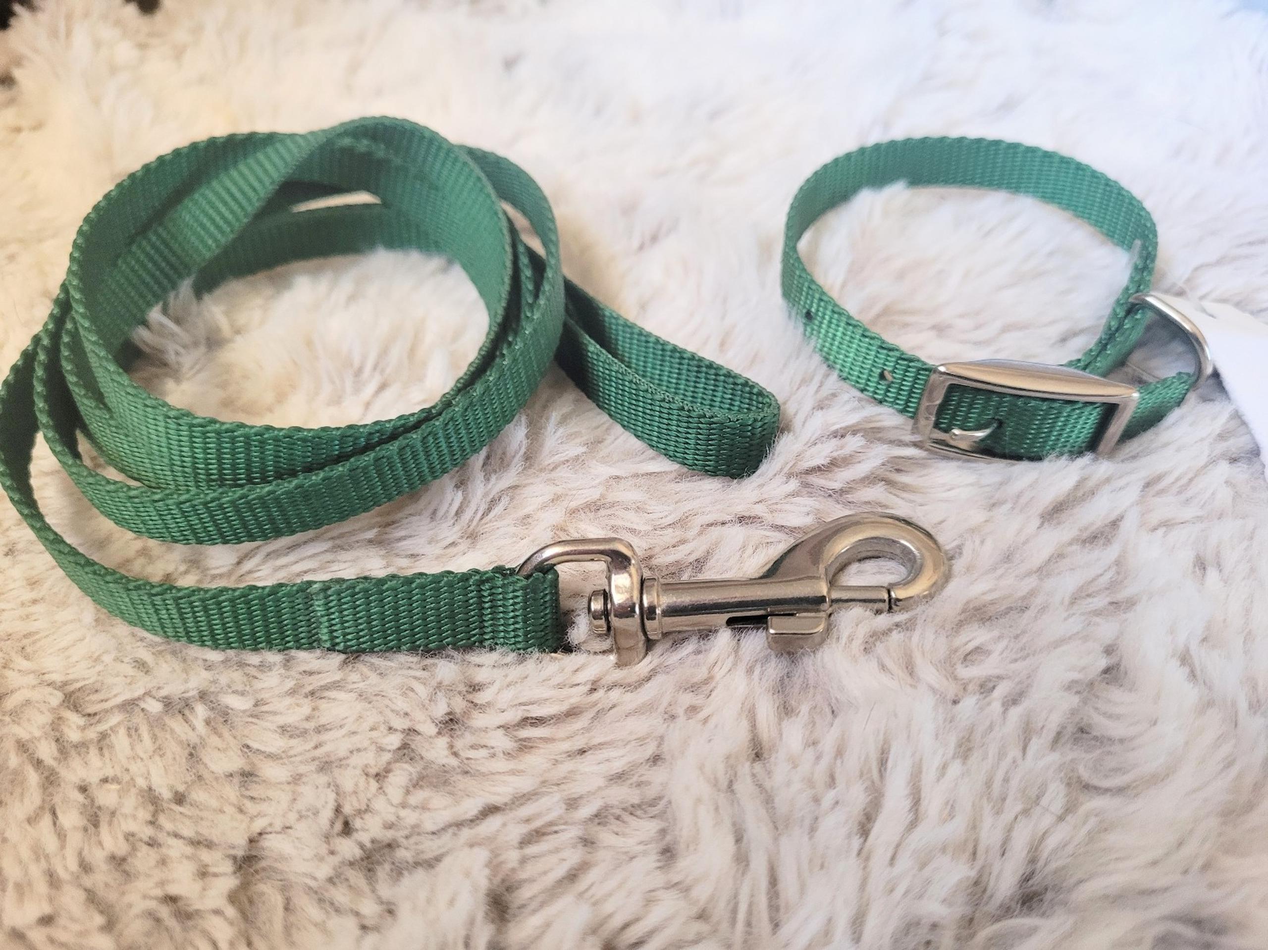 Dog Collar 8" Metal Buckle & 4' Leash Set HUNTER GREEN Nylon XS Pet Puppy