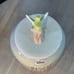 Rae Dunn Tinkerbell Pixie Dust Cookie Jar Disney Iridescent Candy Storage New